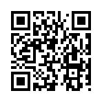 QR CODE 856
