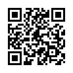 QR CODE 913