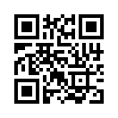 QR CODE 110