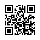 QR CODE 31