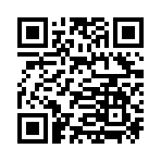 QR CODE 133