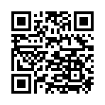 QR CODE 175