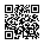 QR CODE 27