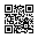 QR CODE 31