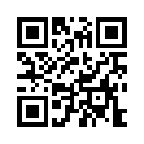 QR CODE 110