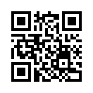 QR CODE 53