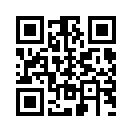 QR CODE 110