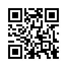 QR CODE 31