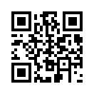 QR CODE 53