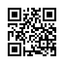 QR CODE 31