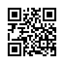 QR CODE 53