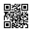 QR CODE 133
