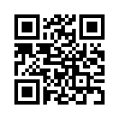 QR CODE 262