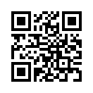 QR CODE 301