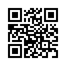 QR CODE 302