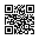 QR CODE 309