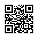 QR CODE 31