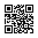 QR CODE 312