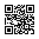 QR CODE 313