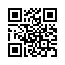 QR CODE 316
