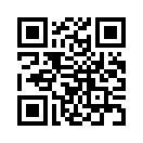 QR CODE 317