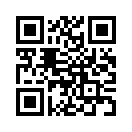 QR CODE 318