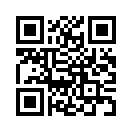 QR CODE 329