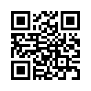 QR CODE 334