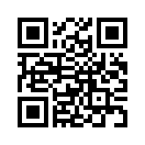 QR CODE 335