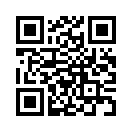 QR CODE 336