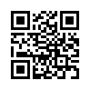 QR CODE 337