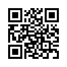 QR CODE 338