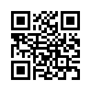 QR CODE 339