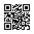QR CODE 366