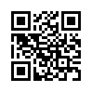 QR CODE 371