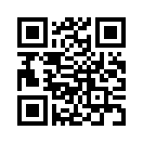 QR CODE 372