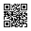 QR CODE 376