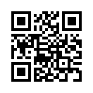 QR CODE 378