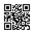 QR CODE 379