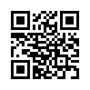 QR CODE 381