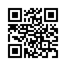 QR CODE 382