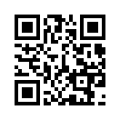 QR CODE 383