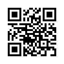 QR CODE 385