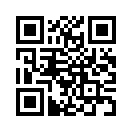 QR CODE 389