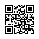 QR CODE 394
