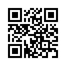 QR CODE 401