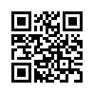 QR CODE 408