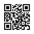 QR CODE 417