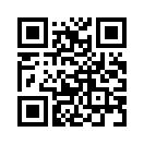 QR CODE 42