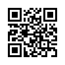 QR CODE 427
